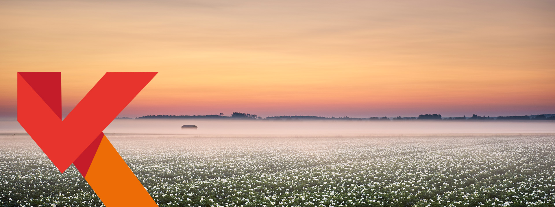 kaskea_1920x718_paakuva